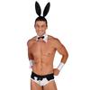 Mens Lingerie Set Bowknot Briefs Bunny Ears Headband Bowtie Collar Cuffs Halloween Costume
