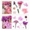 1 Bag Dried Flowers Pressed Dry Flower For DIY Phone Case Epoxy Resin Filling Pendant Jewelry Making Crafts Nail Art Decor