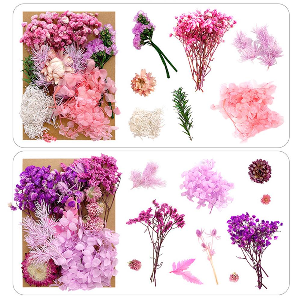 1 Bag Dried Flowers Pressed Dry Flower For DIY Phone Case Epoxy Resin Filling Pendant Jewelry Making Crafts Nail Art Decor