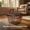 Cycle Rear Cargo Rack with Wire Basket | Metal Construction, RustResistant, Bike
