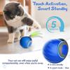 Interactive Cat Toy Balls, Automatic Toys for Cat with Replacement Tail, 2 Adjustable Modes, USB-Rechargeable Indoor Kitten Toy