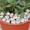 Halloween Ghostly Figurines Centerpieces Scary Resins Ghostly Statue Garden Decors Halloween Decors for Porch Lawn