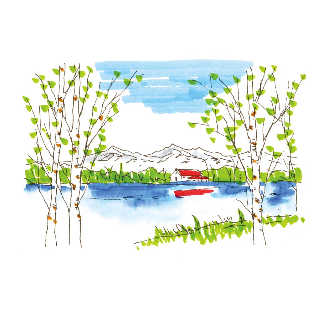 Kuretake Water-Based Brush Pens Set, Fude Biyori CBK-55/12V, 12 Vibrant Colors