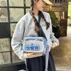 Oblique Span Bag New High-end Korean Version of Girl Fresh Storage Bag Transparent Large-capacity Portable Color Pain Bag