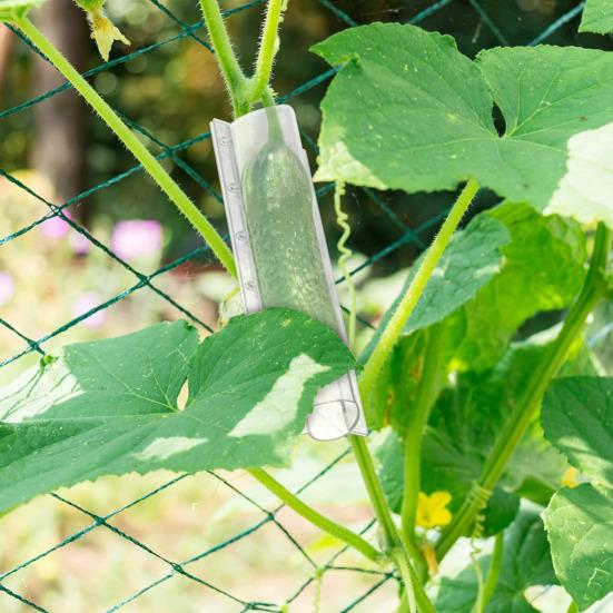 Cucumber Shaping Mold Reusable Transparent Plastic Garden Vegetable Growing Molds Easy-to-use Vegetable Cultivation Mold for Cucumber Tomato Carrot