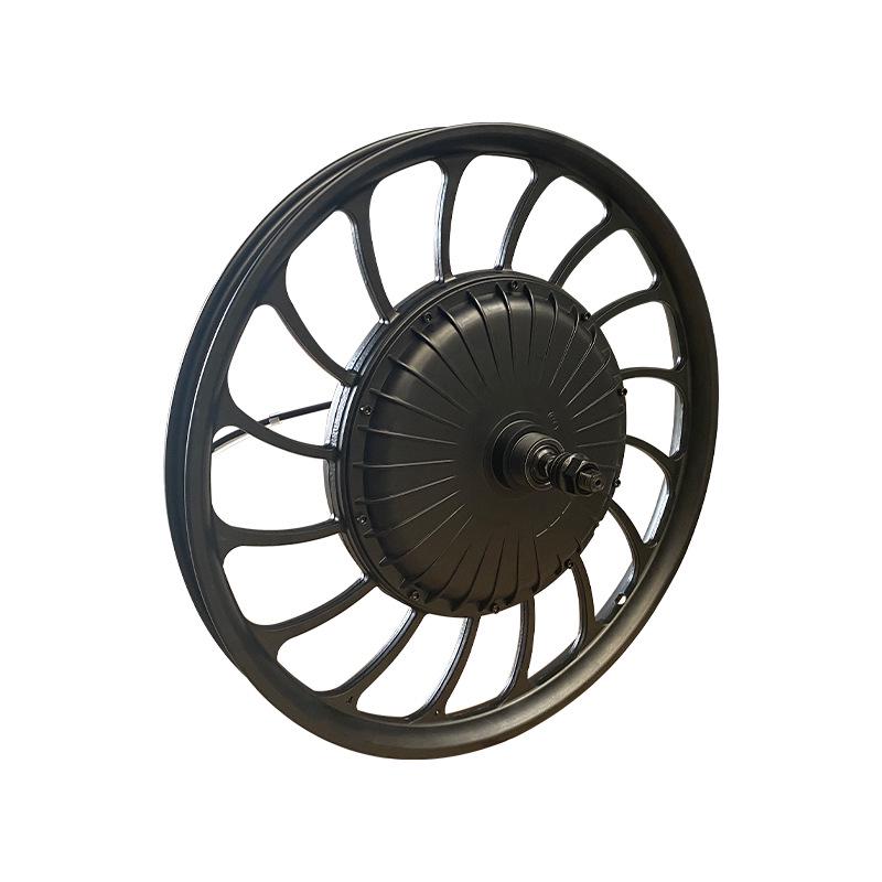 20-Inch Brushless Geared Electric Bicycle Hub Motor with Disc Brake, Compatible with 24V/36V/48V