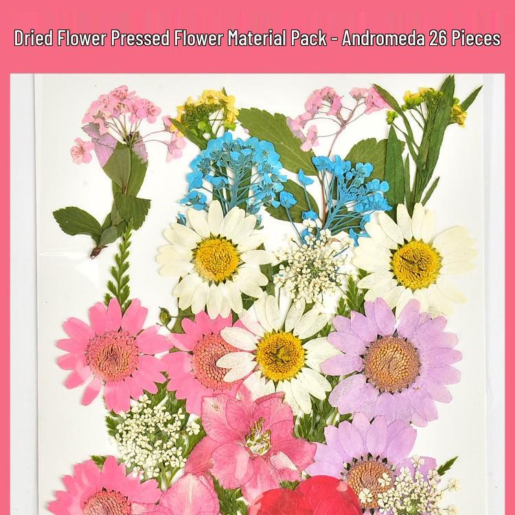 Autumn Dried Flower Bookmark Kit: Transparent Leaf Specimen with Lamination Film Stickers