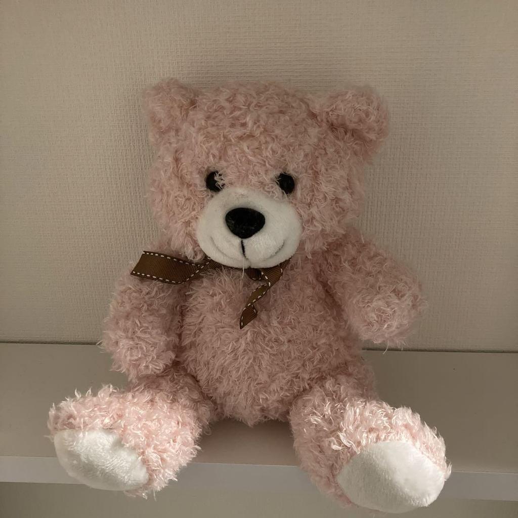 [USED] Pink Teddy Bear