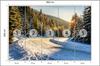 Photomural Winter Forest Self-Adhesive Mural 460x300