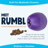 West Paw Zogoflex Echo Rumble Eggplant Dog Large Toy, (Purple)