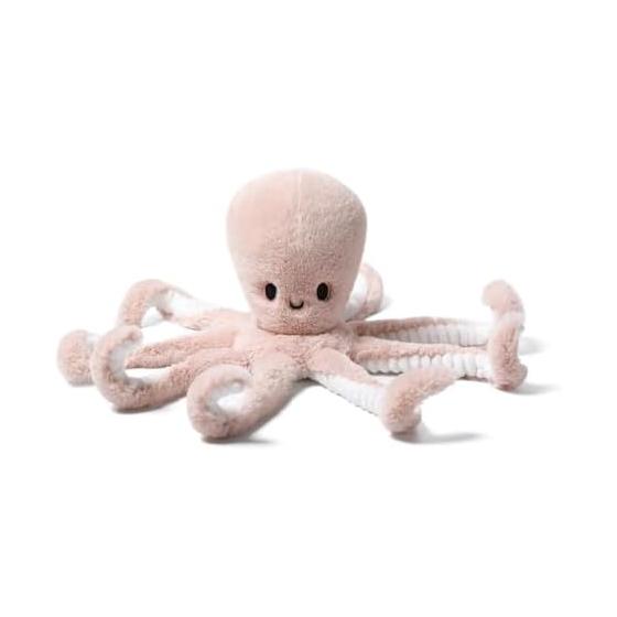 Clever Octopus Octopus Plush Toy MC400150