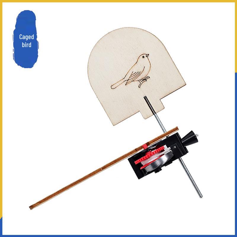 Wooden Bird Cage Science Kit for Primary Students: STEM Educational Equipment for Creative Classroom Experiments