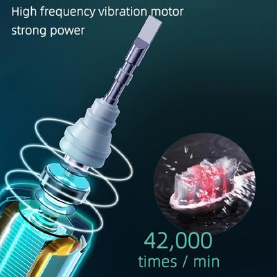 Electric Toothbrush Rotary Cleaning Teeth Brush Waterproof Electronic Tooth Brush With Timer USB Rechargeable Toothbrush 10 Head