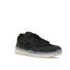 Nike PS8 SB Black Clear Unisex Sneakers FV8493-001