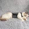Soft Cat Anxiety Jacket Adjustable Anti Anxiety Pet Coat  for Relieve Anxiety