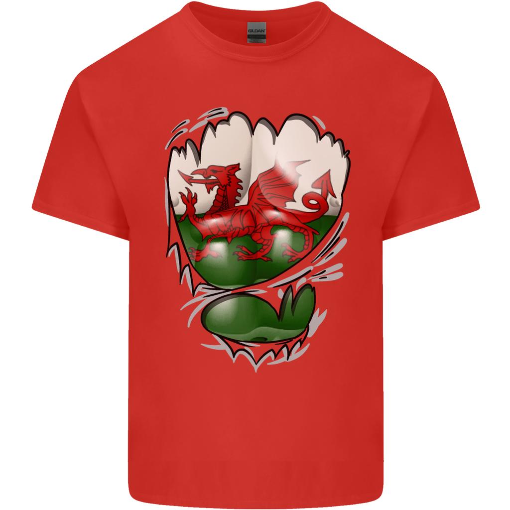 Gym The Welsh Flag Ripped Muscles Wales Unisexs Light Cotton TShirt