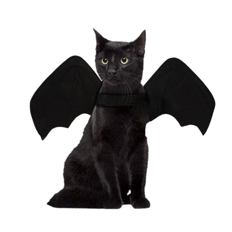 Cat Wing Costume Cat Halloween Collar Costume Cat Clothes For Kitten Cat Clothes Cat Wing Halloween