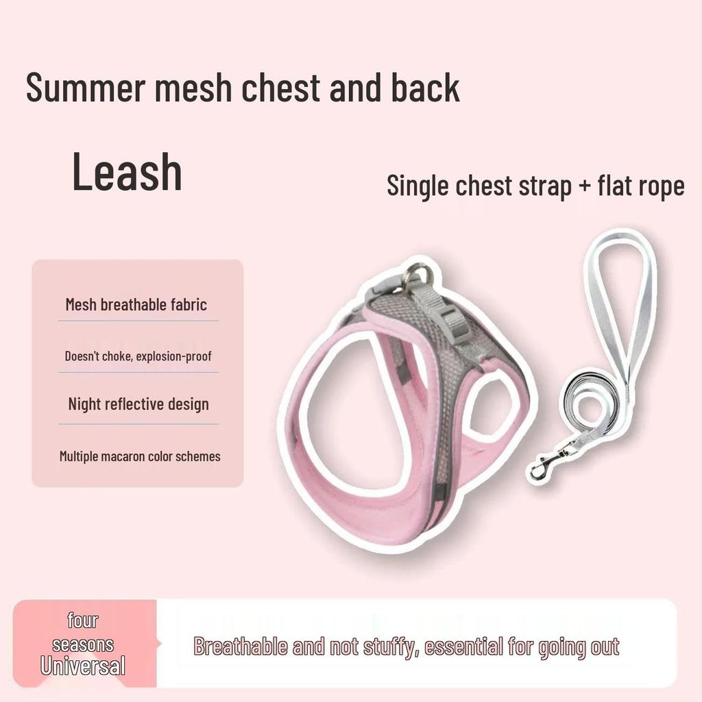 Adjustable Cat Anti-Escape Leash & Harness for Outdoor Walking