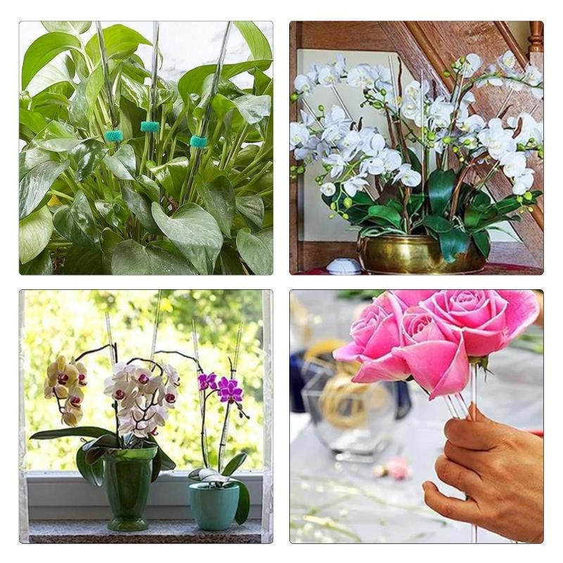 20PCS Plant Support Stakes with Fix Clip Sturdy Plant Support Sticks for Flowers and Vegetables Easy Installation Clear