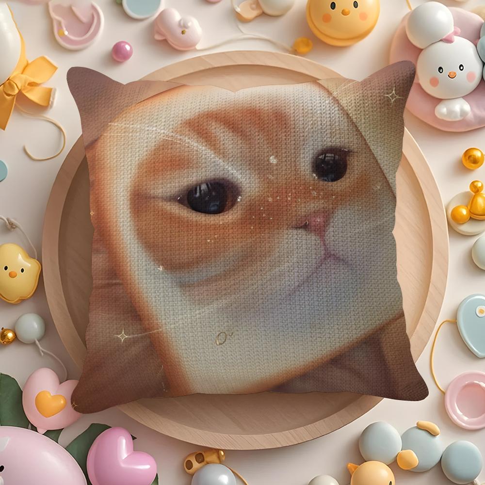 Cute Funny Cats In Internet Pillow Case Pattern Printed Pillowcase for Living Room Sofa Cushion Cover & Bedroom Decor