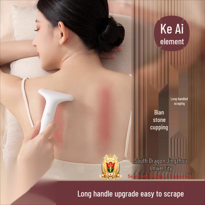

Electric Bian Stone Gua Sha Facial Massager