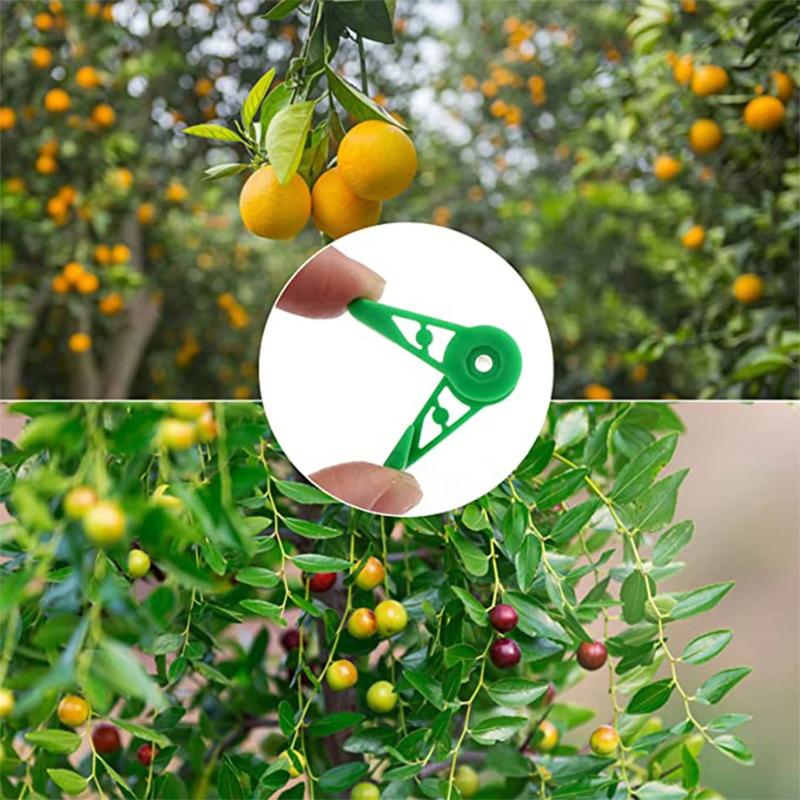 Reusable Plastic Adjustable Plant Training Clips for Low Stress Plant Training Gardening 30/100 Pcs Bulk