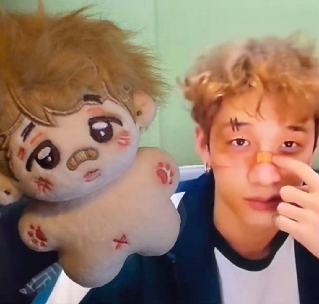 

[Б/У] Straykids Бан Чан Плюшевая игрушка 10 см Мастер