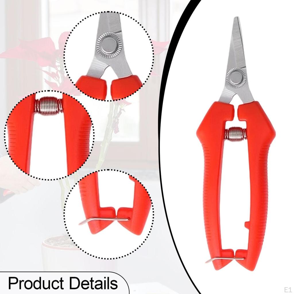 Cutting Shears for Garden Maintenance And