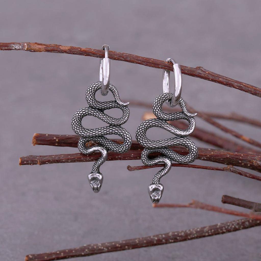 Brincos de cobra de aço inoxidável para homens e mulheres, Hip Hop, moda punk, joias animais, charme nórdico viking