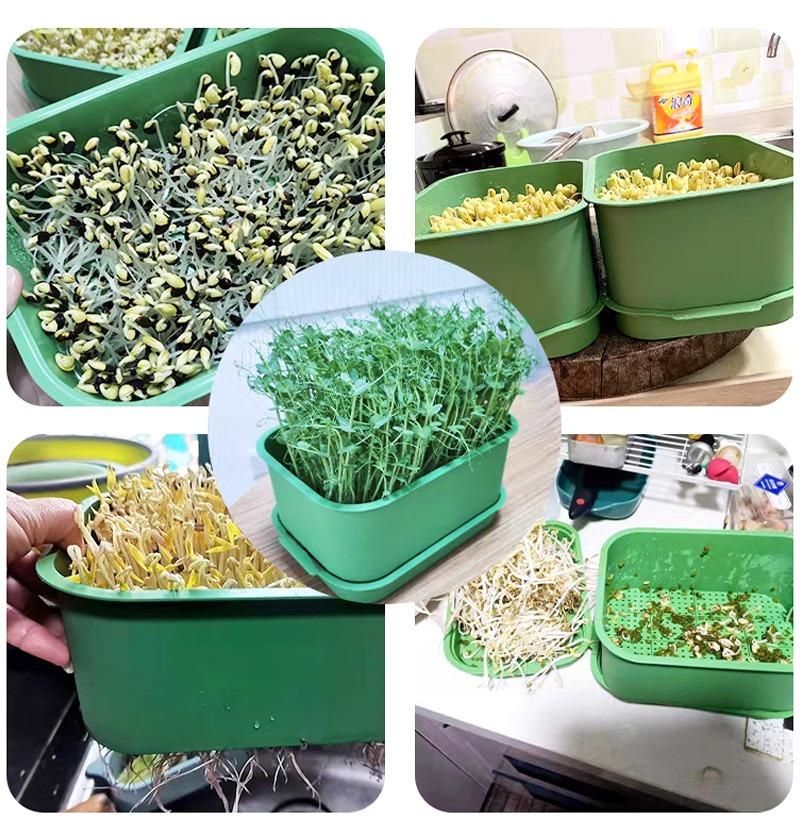 1/2/3x Seed Sprouter Tray with Cover Sprout Dish Growing Pot Seed Germination Tray Soilless Cultivation Germination Nursery Tray