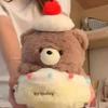 Cartoon Plush Bear Doll Creative Birthday Gifts Interactive Stuffed Animal Doll  Girls