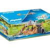 Playmobil - 70343 - Lion Family with Vegetation