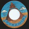 7-Zoll-Schallplatte SCOTT KEY Town Cryer Teil Zwei How Bout A D PDJ8002PROMO Pyramid 1976 US Rock Gebraucht