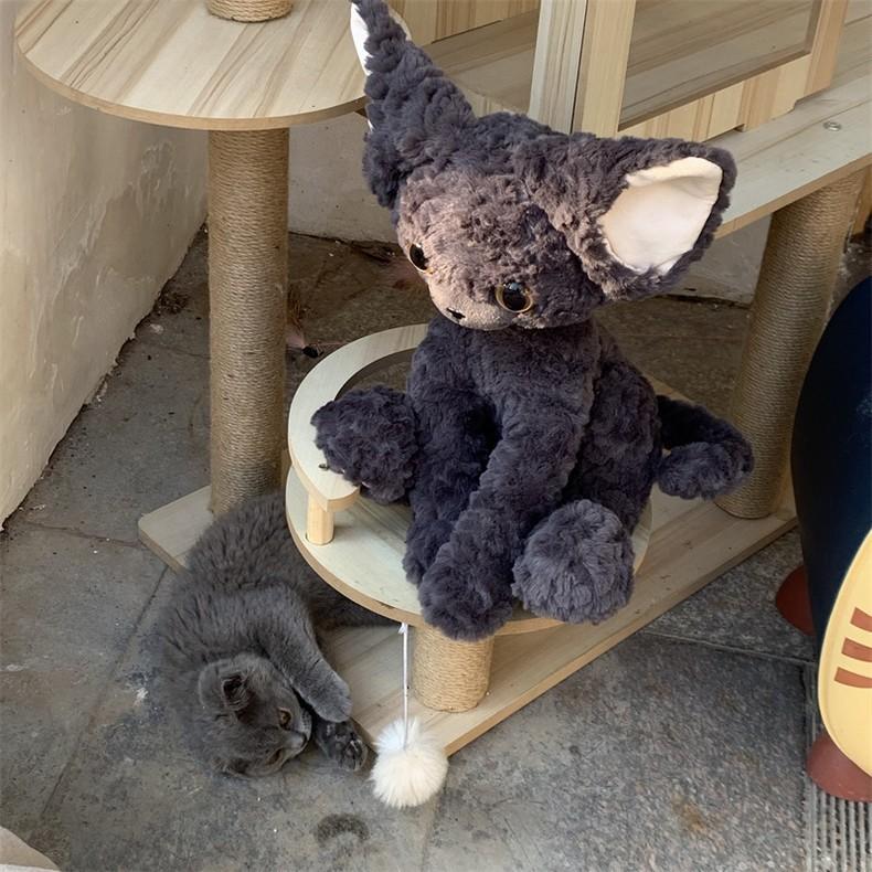 Süße Schwarze Deutsche Katze Puppe Große Ohren Lockige Katze Cartoon Katze Plüschtier Puppe Geschenk Puppe