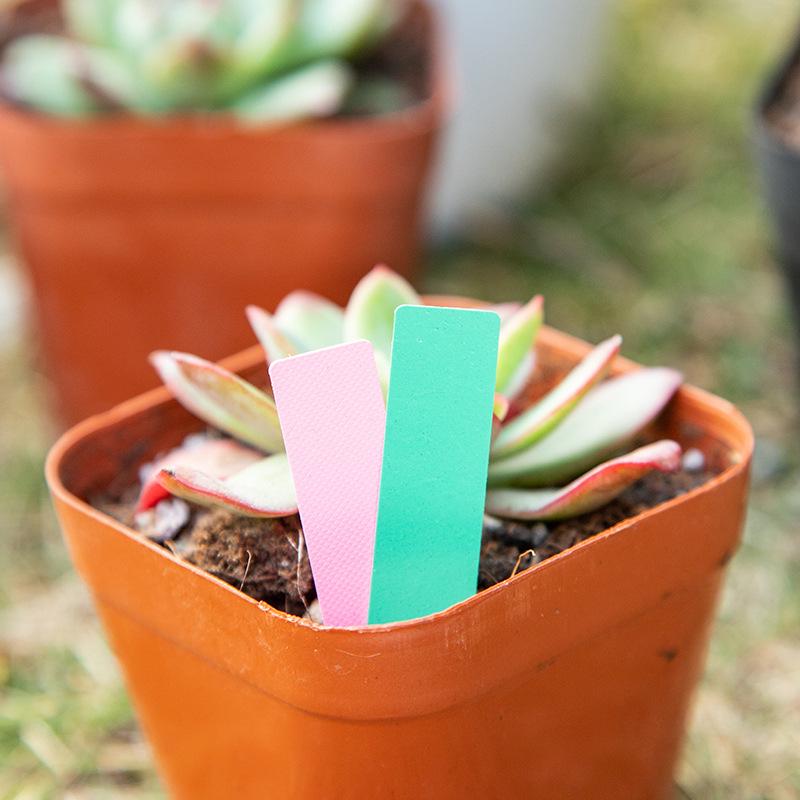 Floral Mini PVC Waterproof Tags for Succulents and Seedlings