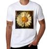 Daisy Tshirt Dry Fit Athletic Short Sleeve Shirt