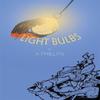 Light Bulbs by A Phillips Hardback Book 9781398403604