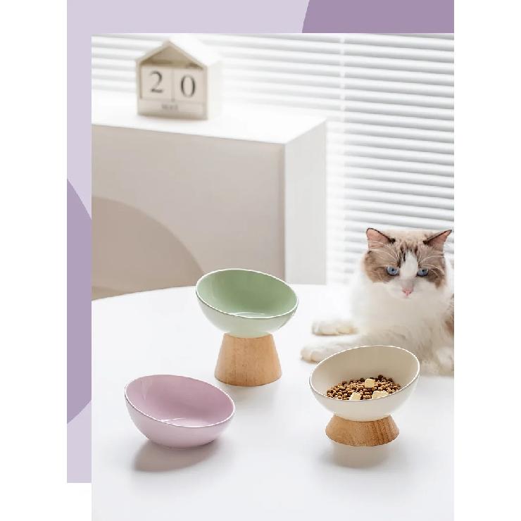 Cat Tilted Ceramic Bowl Small Dogs Elevated Food Water Feeders Pet Drinking Eating Supplies with Wooden Stand