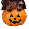 Unique Holiday Presents 2Pcs Halloween Highland Cow Witch Ornament, Resin Figurine with Hat Pumpkin Broom Fall Seasonal Displays & Skull, Cute