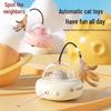Pet Street Interactive Cat Toys