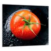 GLASPANEL FÜR DIE KÜCHE 65x60 Tomate