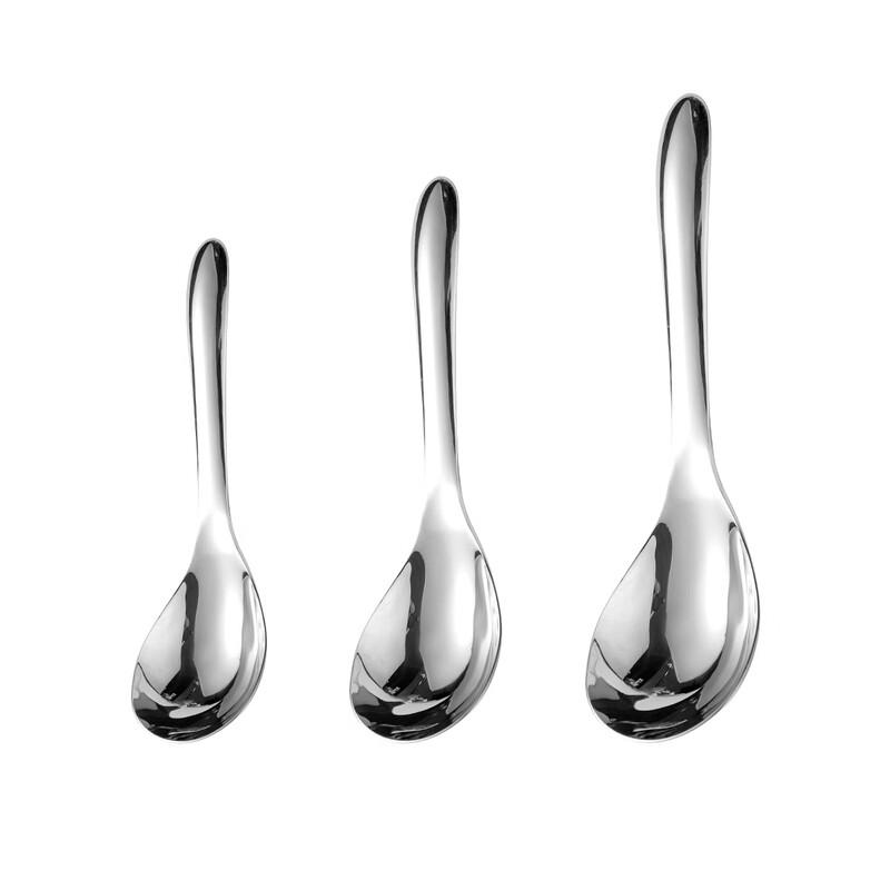 Zhishi Small Stainless Steel Spoon