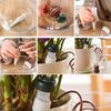 8pcs Self-Watering Stakes Automatic Drip Irrigation System Indoor Plant Watering Device for Plants Waterer Ceramic Probes House