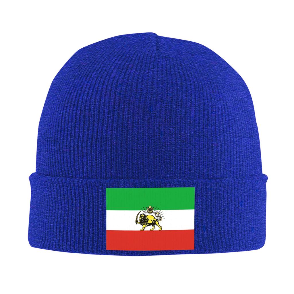 Female Male Flag Of Persia   Beanie Hats  Casual Knit Hat Autumn Winter Hippie Caps Custom Head Wrap Bonnet Hats
