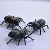 Simulation New Wild Insect Animals Model Toy Beetle Spider Prop Model Children'S Cognitive Toy Outdoor Insect Garden Ornaments