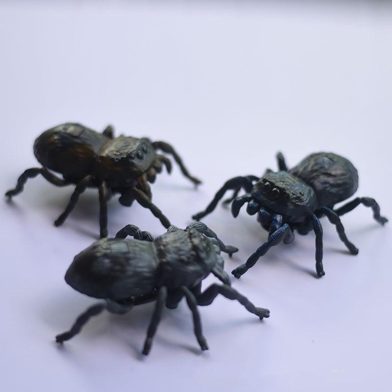 Simulation New Wild Insect Animals Model Toy Beetle Spider Prop Model Children'S Cognitive Toy Outdoor Insect Garden Ornaments