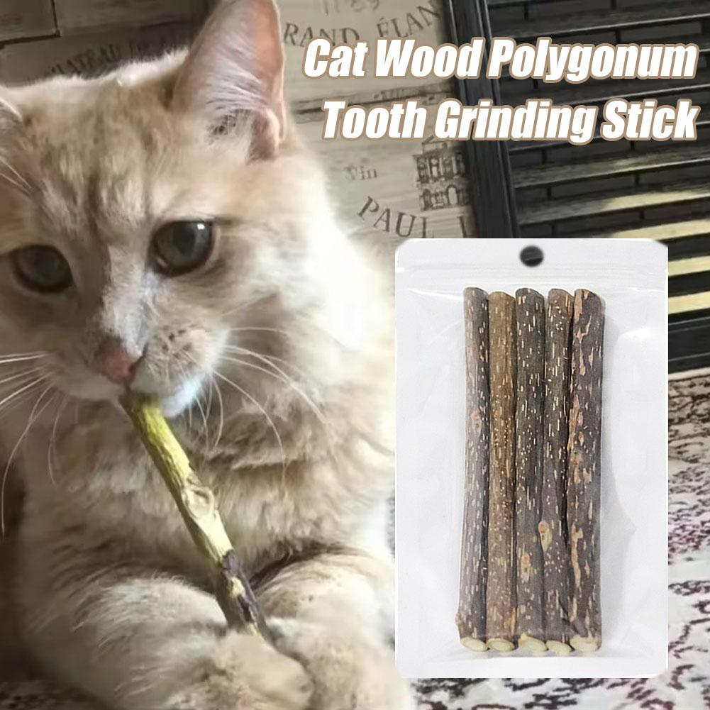 5Pcs Catnip Sticks Pet Cat Molar Toys Natural Wood Polygonum Kitten Teeth Cleaning Chew Toy Cat Snacks Sticks Pet Supplies