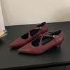 Fashion Pointed Toe Footwear Low Heel Ladies Mary Janes Pumps Shoes 2025 New Female Shallow Fashion Buckle Strap Women Heeled Shoes