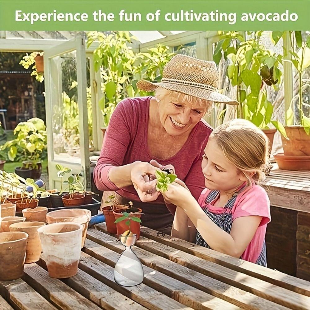 Small Avocado Planting Vase Heat-resistant Transparent Breeding Container  Balcony