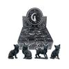Nemesis Now Lucky Black Cat Figurine (Pack of 24)